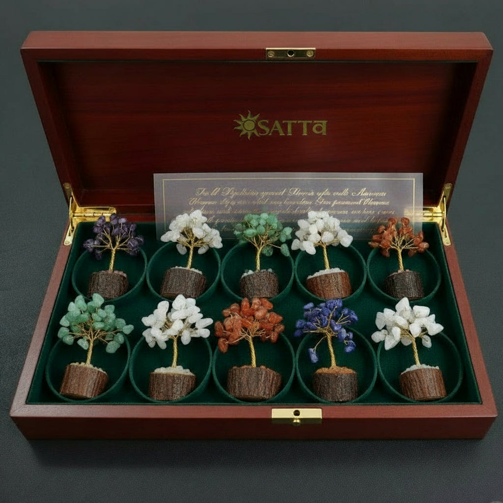 Wooden box with 'Sativa' branding containing small plants in pots on a dark background